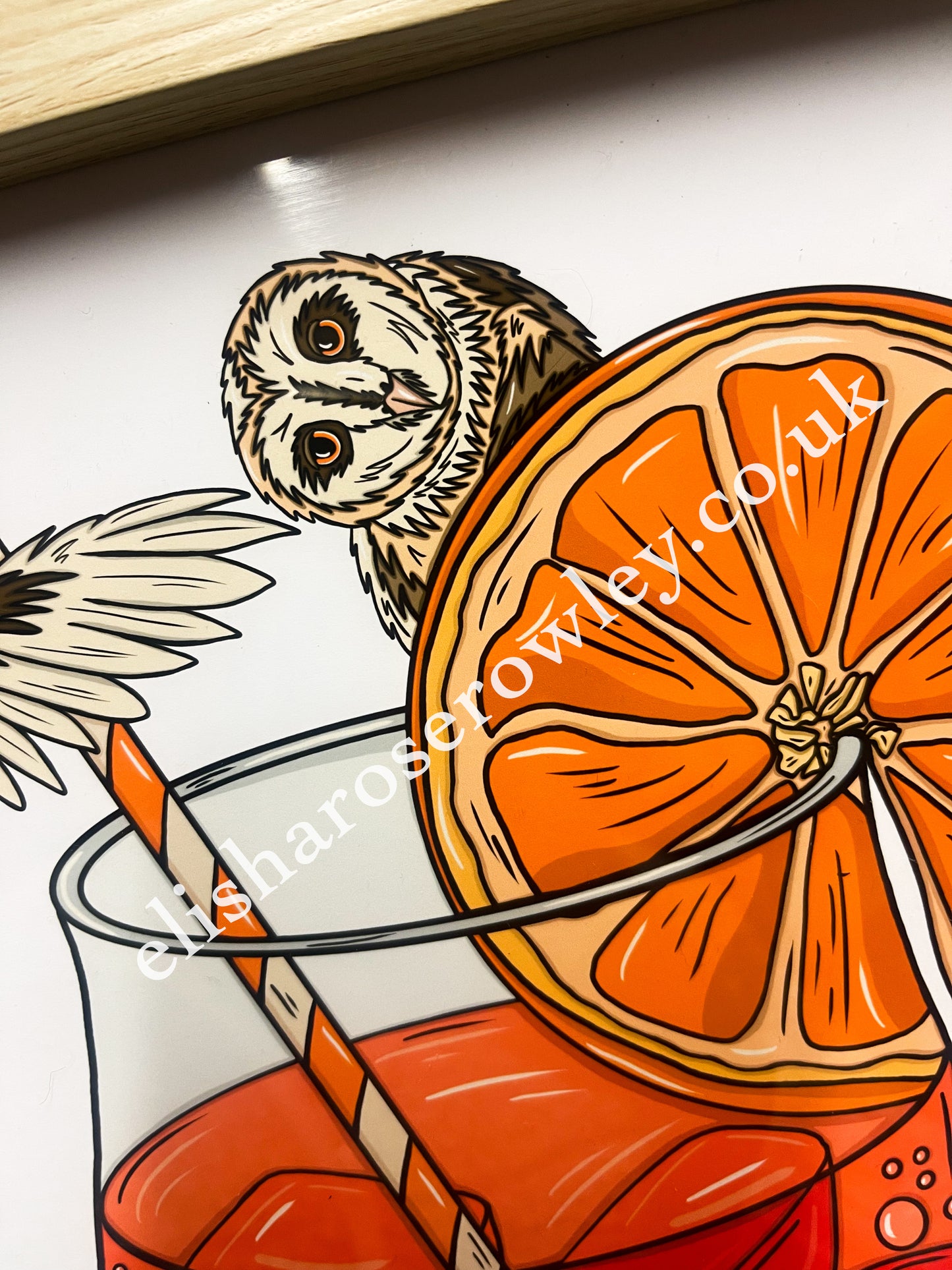 AperOWL Spritz - Hand-drawn and Illustrated Art Print