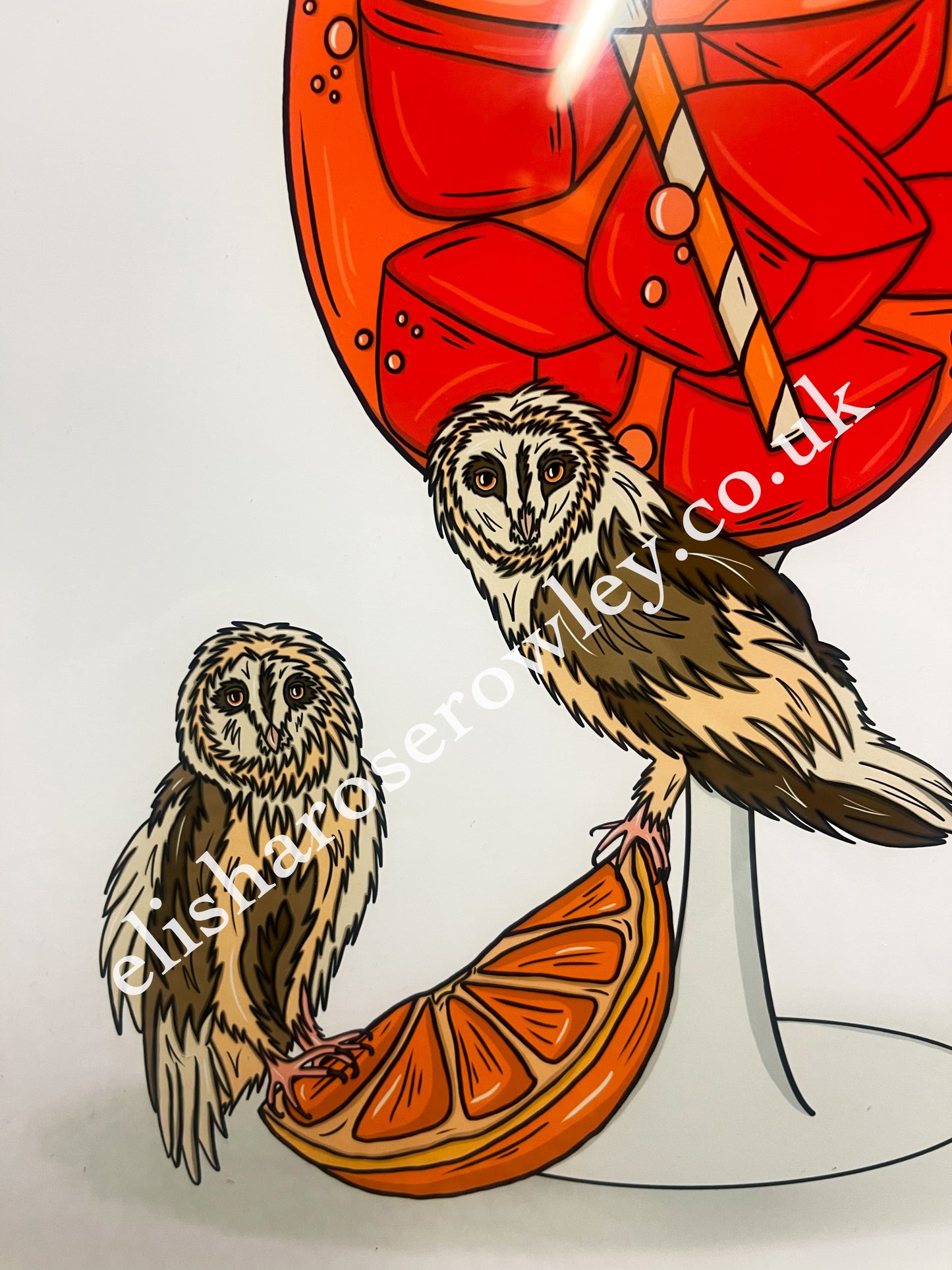 AperOWL Spritz - Hand-drawn and Illustrated Art Print
