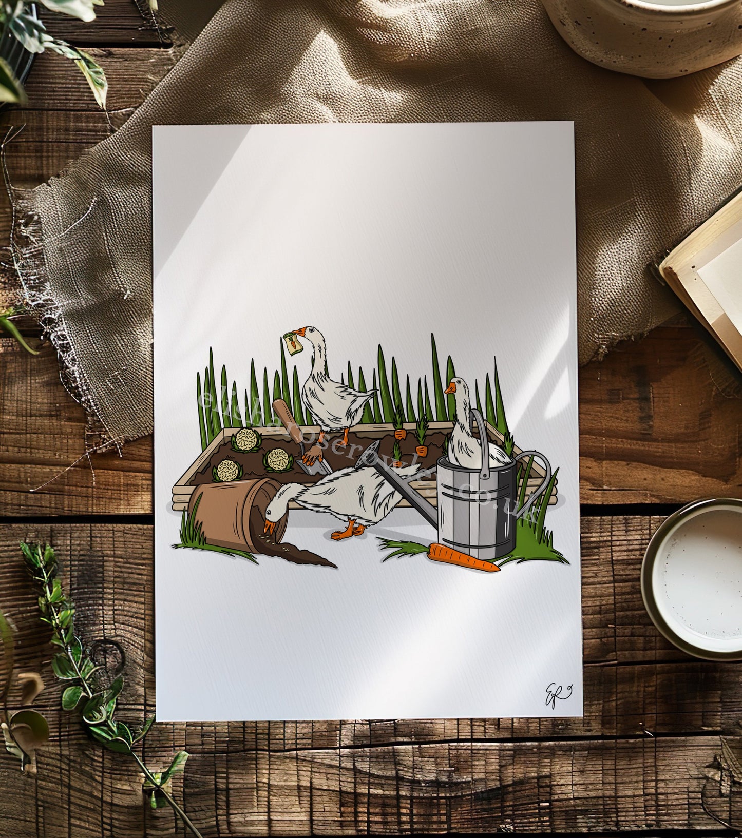 Gardening Geese - Hand-drawn and Illustrated Art Print