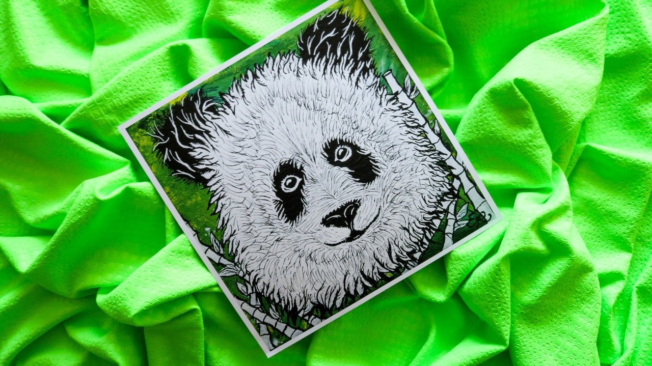 Panda Original Art Print, Wildlife Collection, 10x10