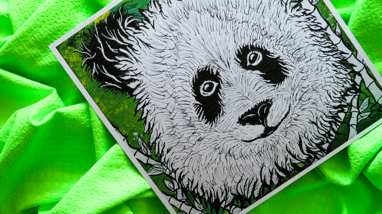 Panda Original Art Print, Wildlife Collection, 10x10