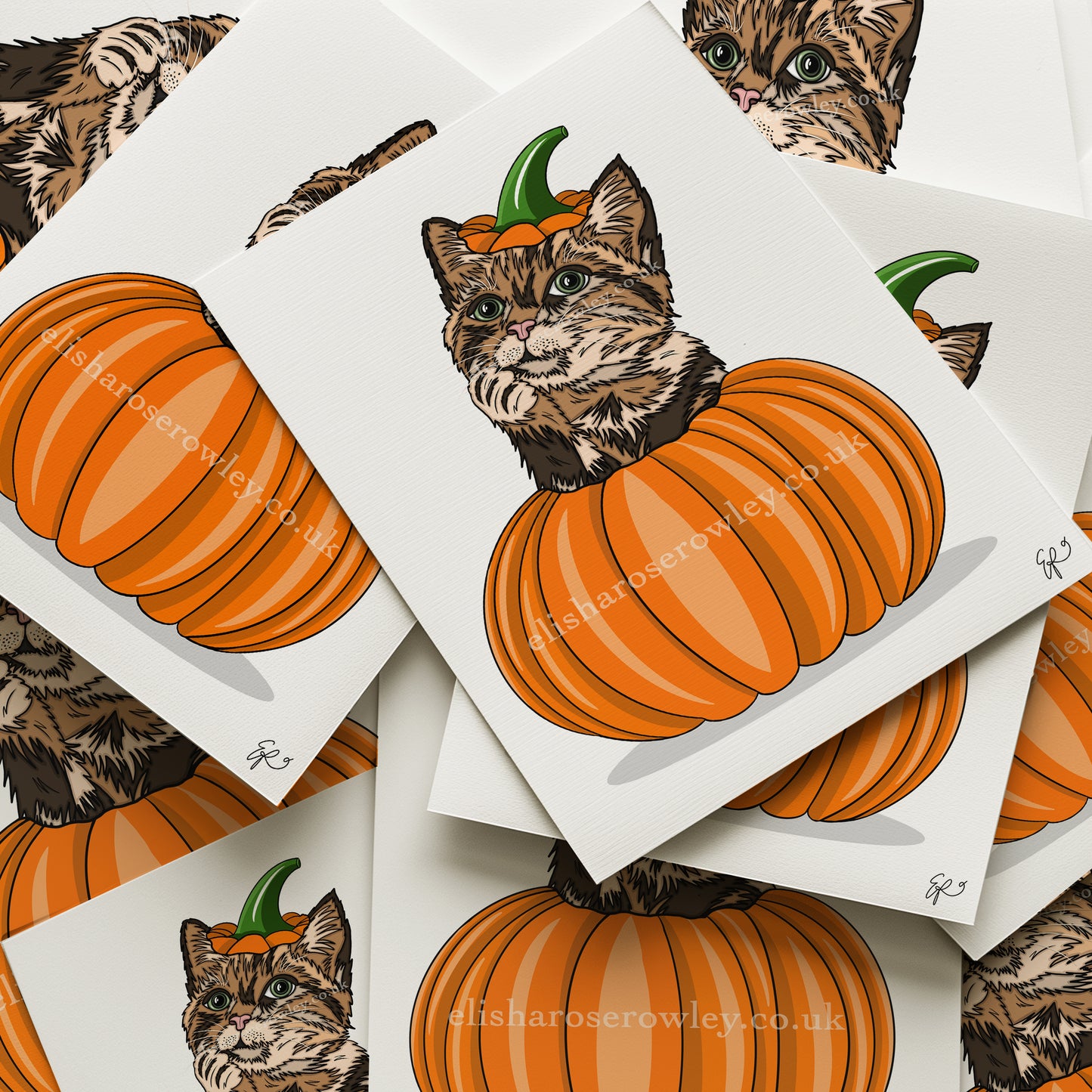 Pumpkin Cat - Hand-drawn and Illustrated Art Print