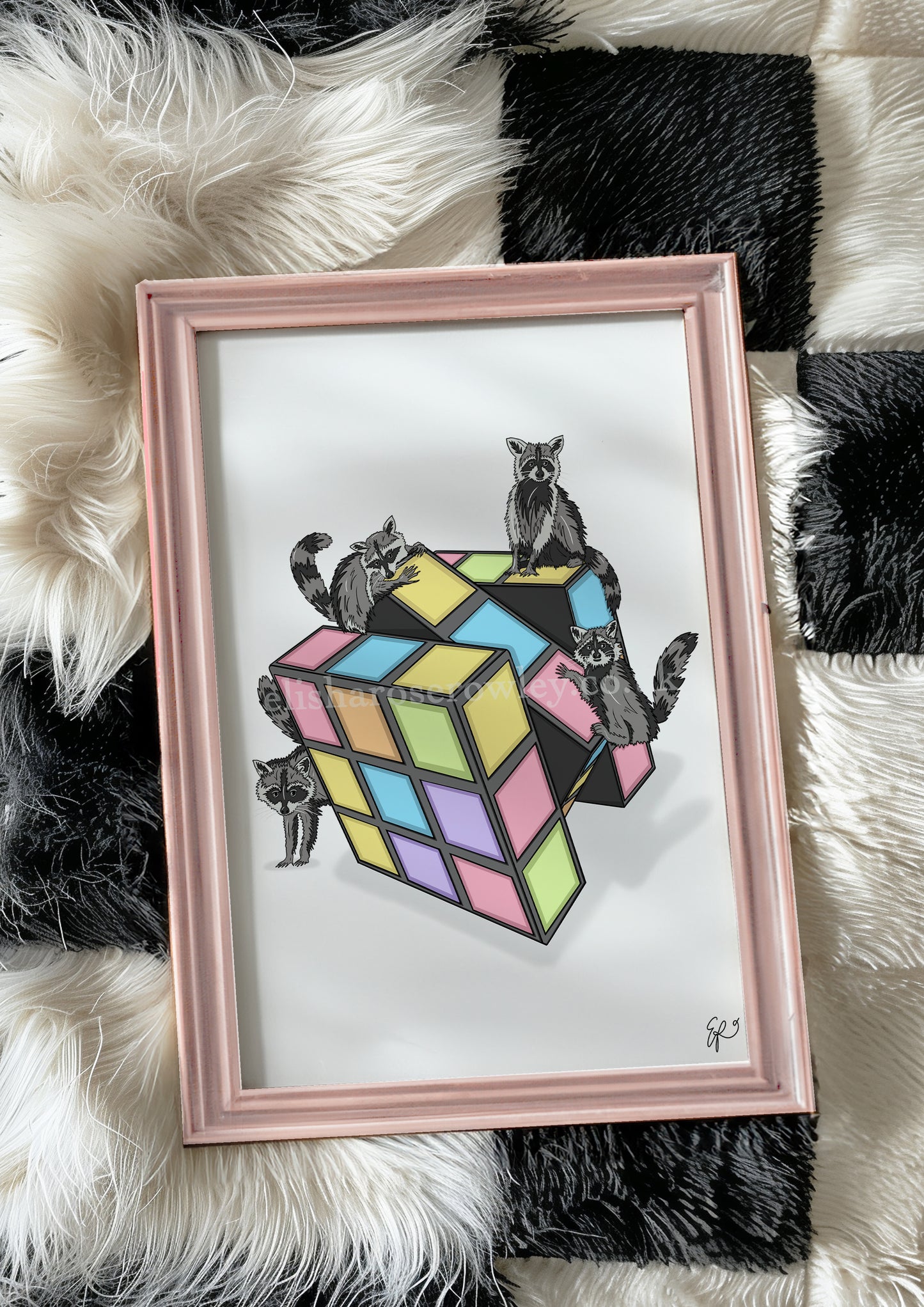Rubiks Racoons - Hand-drawn and Illustrated Print