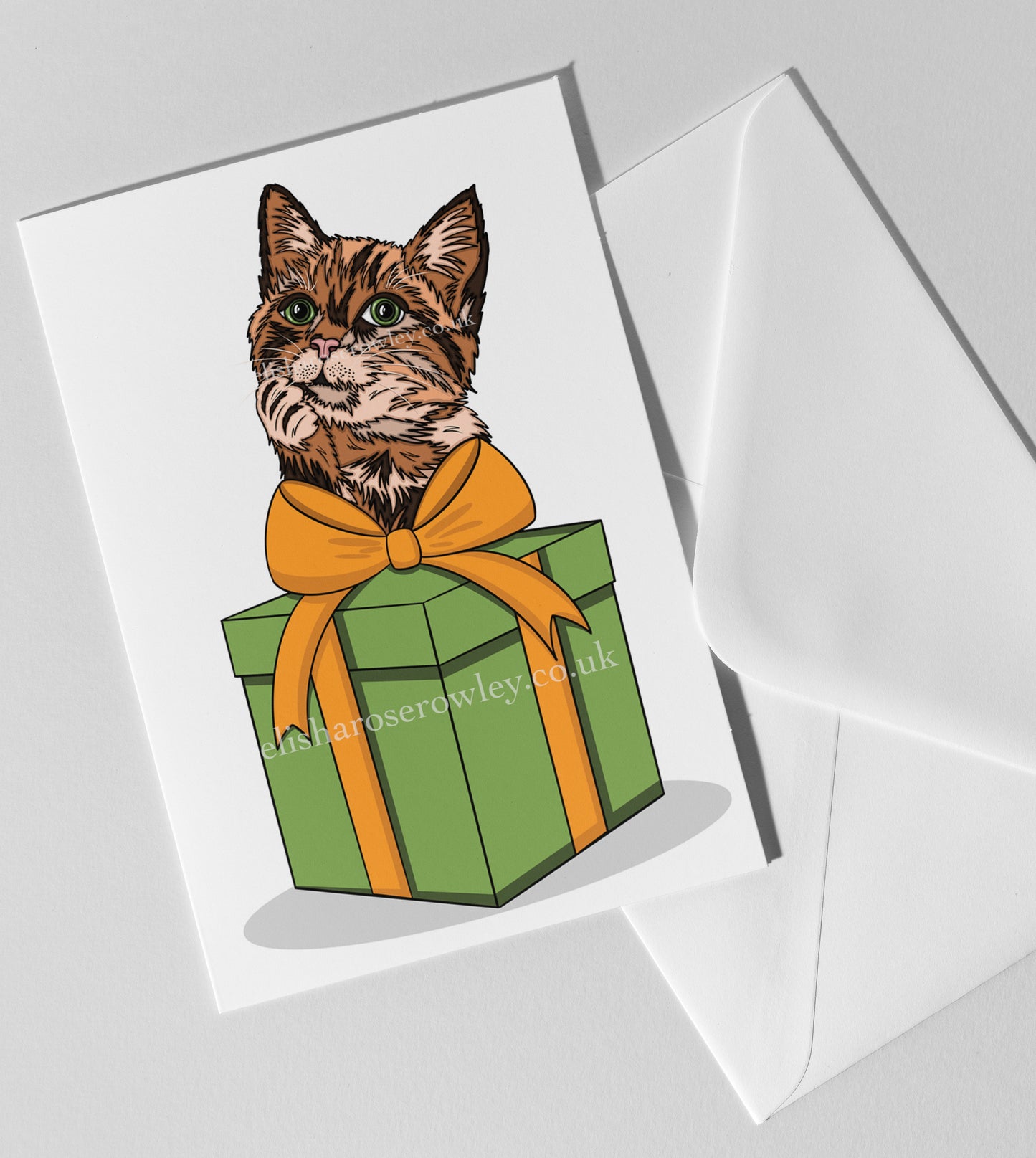 A Cat's Gift, Birthday/Christmas/Every-Day Greeting Card A5, 4 Colours