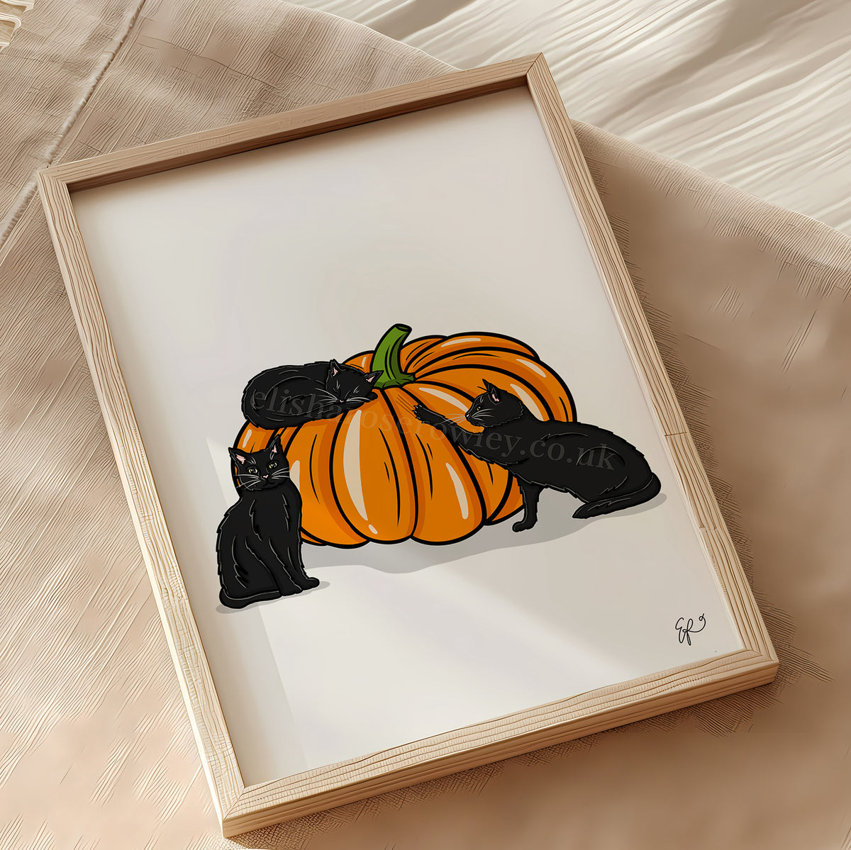Paws & Pumpkins! Black Cats Autumn/Halloween Collection
