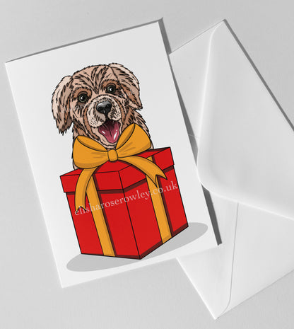 A Dog's Gift, Birthday/Christmas/Every-Day Greeting Card A5, 4 Colours