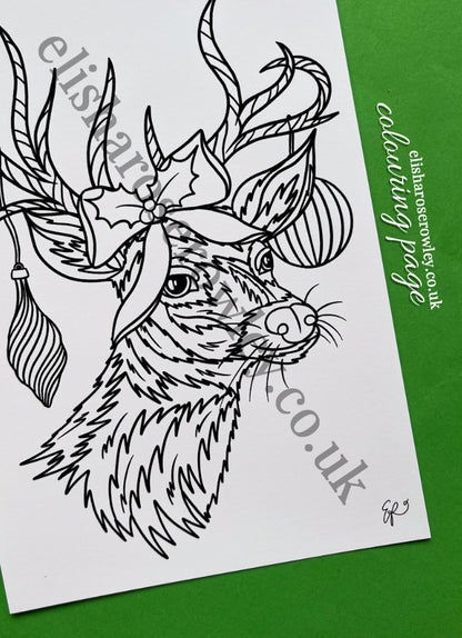 DECEMBER 2025, Past Edition (Elisha's Mail Club!)