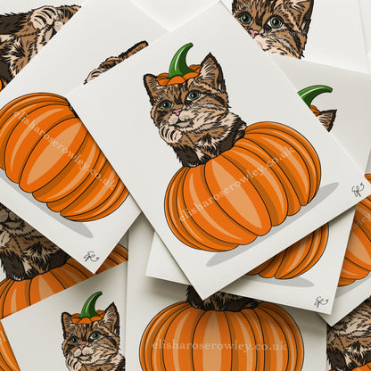 Pumpkin Cat - Hand-drawn and Illustrated Art Print